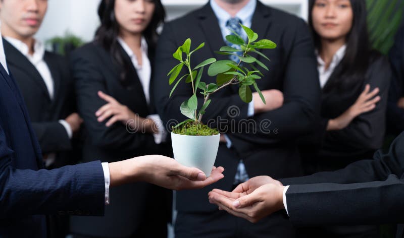 Eco-friendly investment on reforestation by group of business people holding plant together in office promoting CO2 reduction and natural preservation to save Earth with sustainable future. Quaint. Eco-friendly investment on reforestation by group of business people holding plant together in office promoting CO2 reduction and natural preservation to save Earth with sustainable future. Quaint