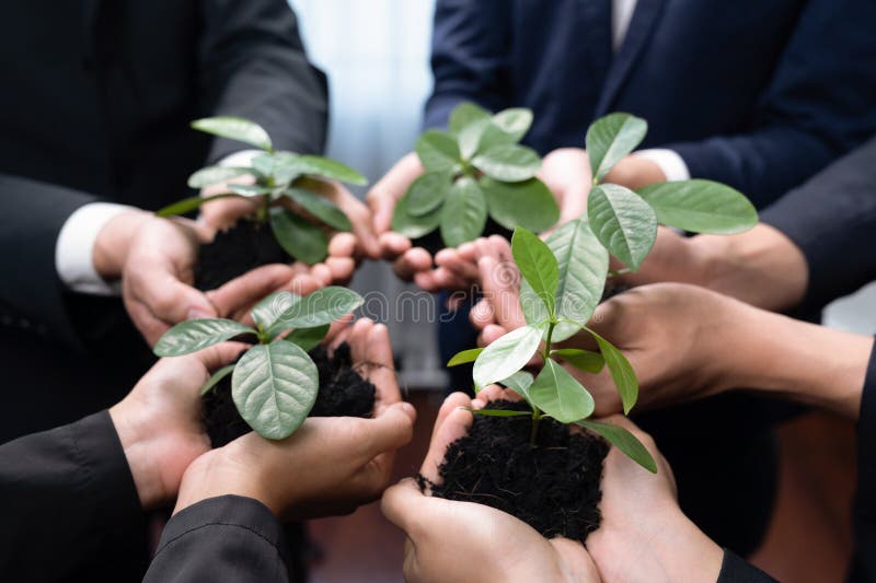 Eco-friendly investment on reforestation by group of business people holding plant together in office promoting CO2 reduction and natural preservation to save Earth with sustainable future. Quaint. Eco-friendly investment on reforestation by group of business people holding plant together in office promoting CO2 reduction and natural preservation to save Earth with sustainable future. Quaint