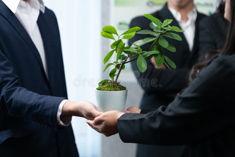 Eco-friendly investment on reforestation by group of business people holding plant together in office promoting CO2 reduction and natural preservation to save Earth with sustainable future. Quaint. Eco-friendly investment on reforestation by group of business people holding plant together in office promoting CO2 reduction and natural preservation to save Earth with sustainable future. Quaint