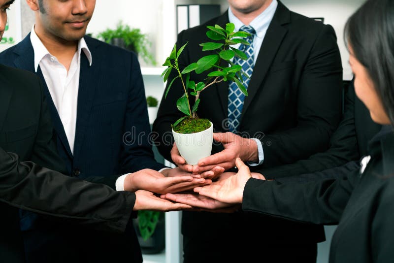 Eco-friendly investment on reforestation by group of business people holding plant together in office promoting CO2 reduction and natural preservation to save Earth with sustainable future. Quaint. Eco-friendly investment on reforestation by group of business people holding plant together in office promoting CO2 reduction and natural preservation to save Earth with sustainable future. Quaint