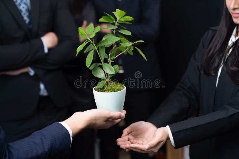 Eco-friendly investment on reforestation by group of business people holding plant together in office promoting CO2 reduction and natural preservation to save Earth with sustainable future. Quaint. Eco-friendly investment on reforestation by group of business people holding plant together in office promoting CO2 reduction and natural preservation to save Earth with sustainable future. Quaint