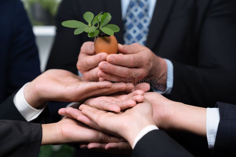 Eco-friendly investment on reforestation by group of business people holding plant together in office promoting CO2 reduction and natural preservation to save Earth with sustainable future. Quaint. Eco-friendly investment on reforestation by group of business people holding plant together in office promoting CO2 reduction and natural preservation to save Earth with sustainable future. Quaint