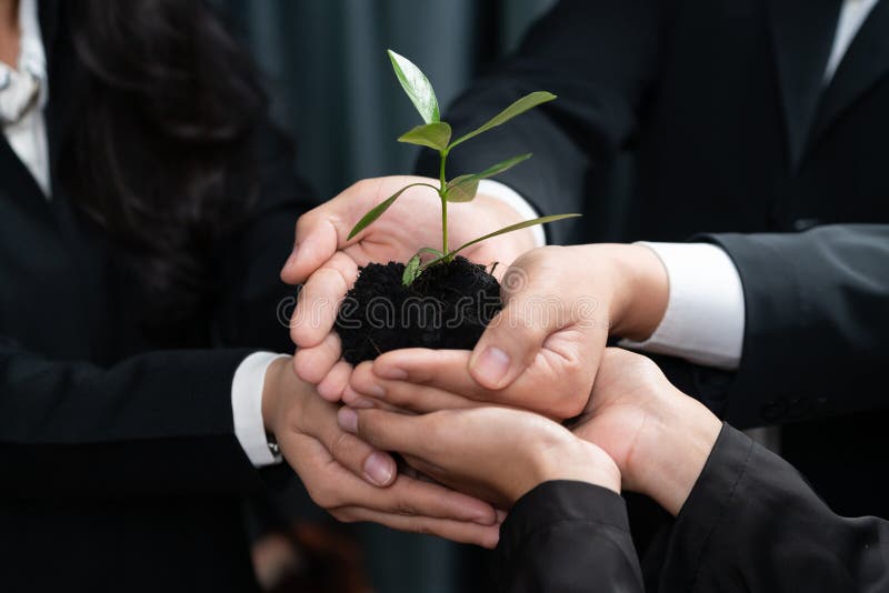 Eco-friendly investment on reforestation by group of business people holding plant together in office promoting CO2 reduction and natural preservation to save Earth with sustainable future. Quaint. Eco-friendly investment on reforestation by group of business people holding plant together in office promoting CO2 reduction and natural preservation to save Earth with sustainable future. Quaint