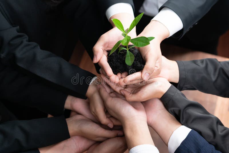 Eco-friendly investment on reforestation by group of business people holding plant together in office promoting CO2 reduction and natural preservation to save Earth with sustainable future. Quaint. Eco-friendly investment on reforestation by group of business people holding plant together in office promoting CO2 reduction and natural preservation to save Earth with sustainable future. Quaint