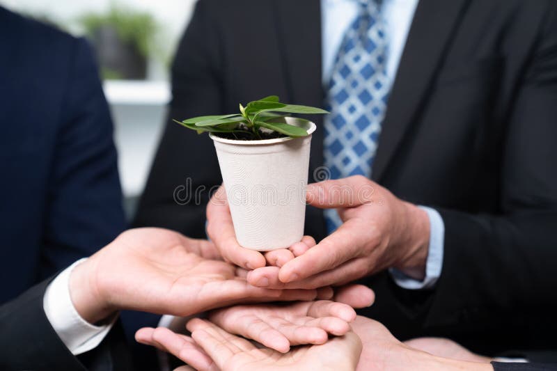 Eco-friendly investment on reforestation by group of business people holding plant together in office promoting CO2 reduction and natural preservation to save Earth with sustainable future. Quaint. Eco-friendly investment on reforestation by group of business people holding plant together in office promoting CO2 reduction and natural preservation to save Earth with sustainable future. Quaint