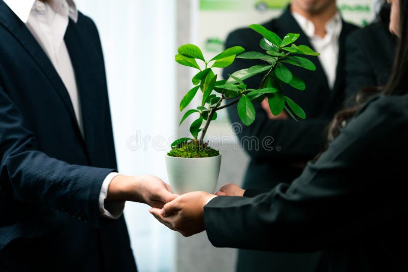 Eco-friendly investment on reforestation by group of business people holding plant together in office promoting CO2 reduction and natural preservation to save Earth with sustainable future. Quaint. Eco-friendly investment on reforestation by group of business people holding plant together in office promoting CO2 reduction and natural preservation to save Earth with sustainable future. Quaint