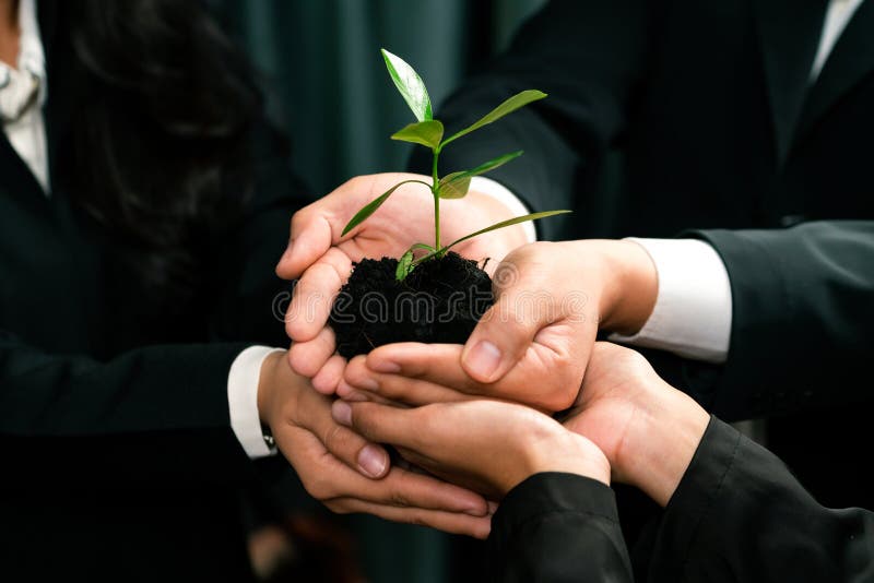 Eco-friendly investment on reforestation by group of business people holding plant together in office promoting CO2 reduction and natural preservation to save Earth with sustainable future. Quaint. Eco-friendly investment on reforestation by group of business people holding plant together in office promoting CO2 reduction and natural preservation to save Earth with sustainable future. Quaint