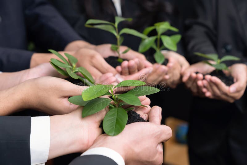 Eco-friendly investment on reforestation by group of business people holding plant together in office promoting CO2 reduction and natural preservation to save Earth with sustainable future. Quaint. Eco-friendly investment on reforestation by group of business people holding plant together in office promoting CO2 reduction and natural preservation to save Earth with sustainable future. Quaint