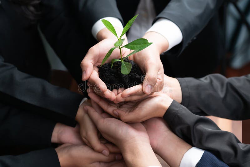 Eco-friendly investment on reforestation by group of business people holding plant together in office promoting CO2 reduction and natural preservation to save Earth with sustainable future. Quaint. Eco-friendly investment on reforestation by group of business people holding plant together in office promoting CO2 reduction and natural preservation to save Earth with sustainable future. Quaint