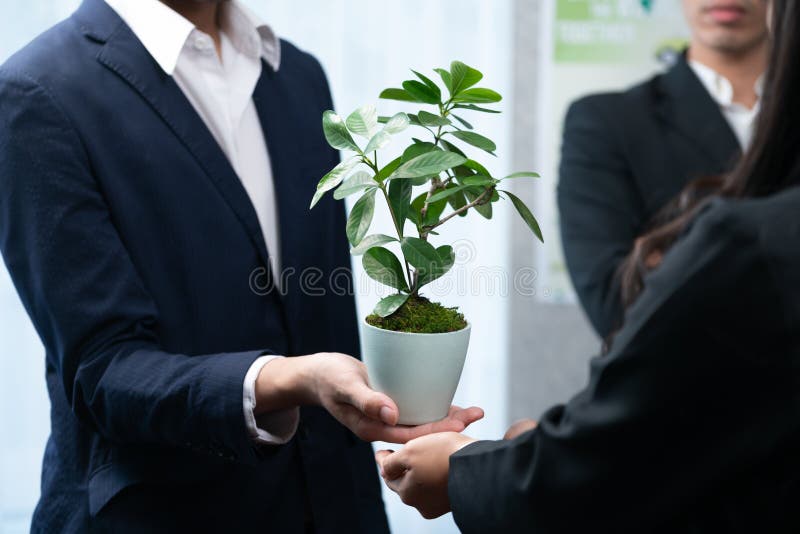 Eco-friendly investment on reforestation by group of business people holding plant together in office promoting CO2 reduction and natural preservation to save Earth with sustainable future. Quaint. Eco-friendly investment on reforestation by group of business people holding plant together in office promoting CO2 reduction and natural preservation to save Earth with sustainable future. Quaint