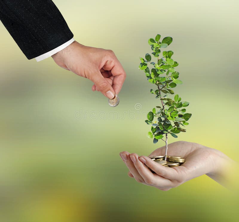 Investing to green business