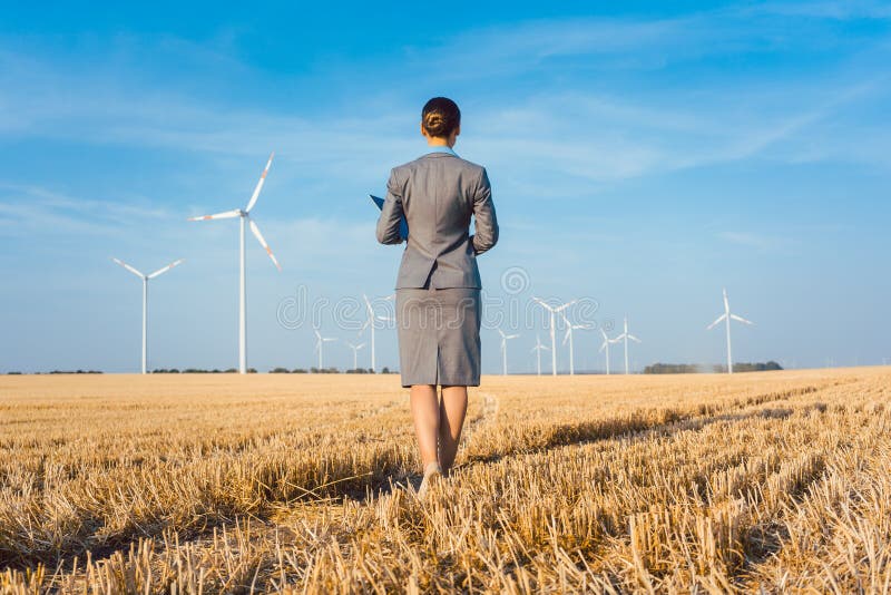 Investisseur dans l'énergie verte regardant ses turbines de vent images libres de droits Investisseur dans l'énergie verte regardant ses turbines de vent images libres de droits