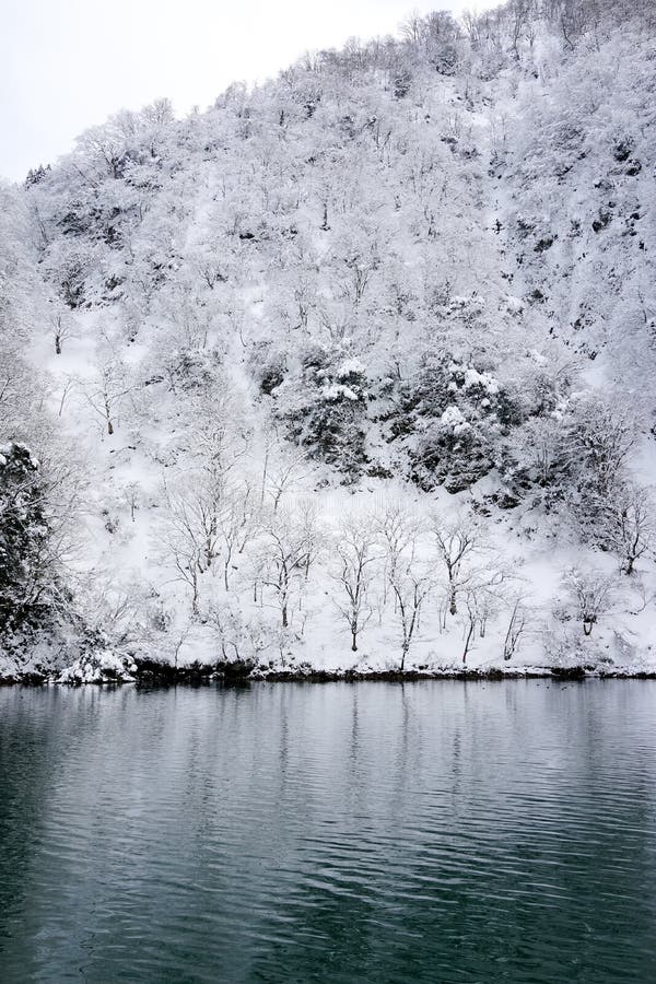 Invierno del lago imagen de archivo Invierno del lago imagen de archivo