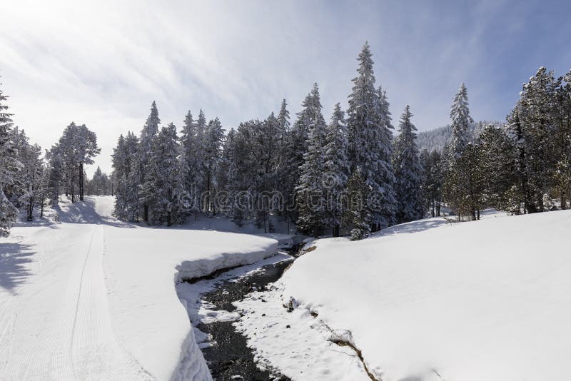 Invierno que camina la trayectoria a lo largo de una corriente congelada en el país de las maravillas del invierno en Suiza