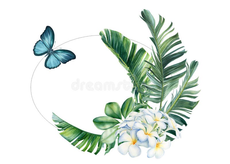 Invitación De Tarjeta De Saludo De Marco Con Hojas Tropicales De Color Agua Flores Mariposa Azul Trineo Stock de ilustración - Ilustración de azul, verde: 231351781 Invitación De Tarjeta De Saludo De Marco Con Hojas Tropicales De Color Agua Flores Mariposa Azul Trineo Stock de ilustración - Ilustración de azul, verde: 231351781