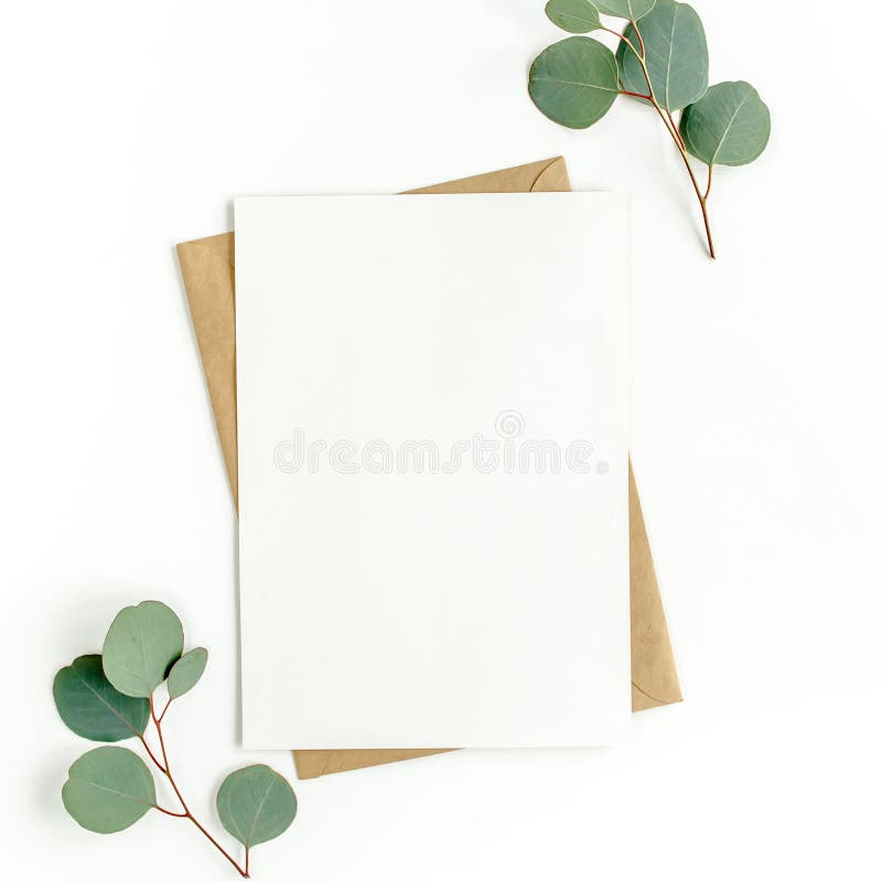 Carte blanche vierge et enveloppe avec feuilles d'eucalyptus. Invitation  vierge . image libre de droit par InkDropCreative © #333770528