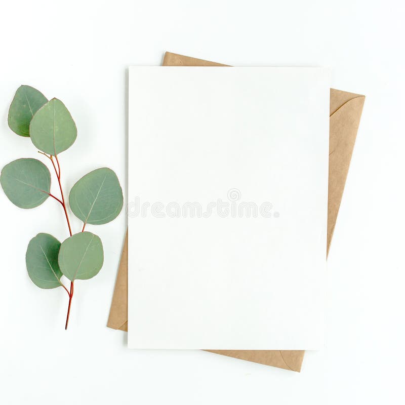 Carte blanche vierge et enveloppe avec feuilles d'eucalyptus. Invitation  vierge . image libre de droit par InkDropCreative © #333770528