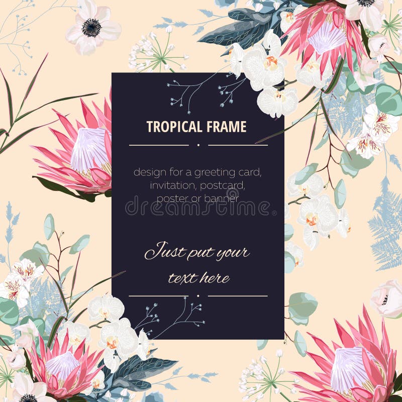 Invitation au mariage, invitation florale merci, rsvp carte moderne Conception avec des fleurs de protéa roses illustration stock Invitation au mariage, invitation florale merci, rsvp carte moderne Conception avec des fleurs de protéa roses illustration stock