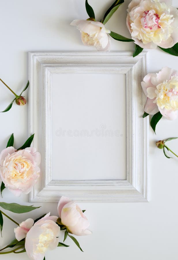 Invito di cerimonia nuziale fotografia stock libera da diritti Invito di cerimonia nuziale fotografia stock libera da diritti