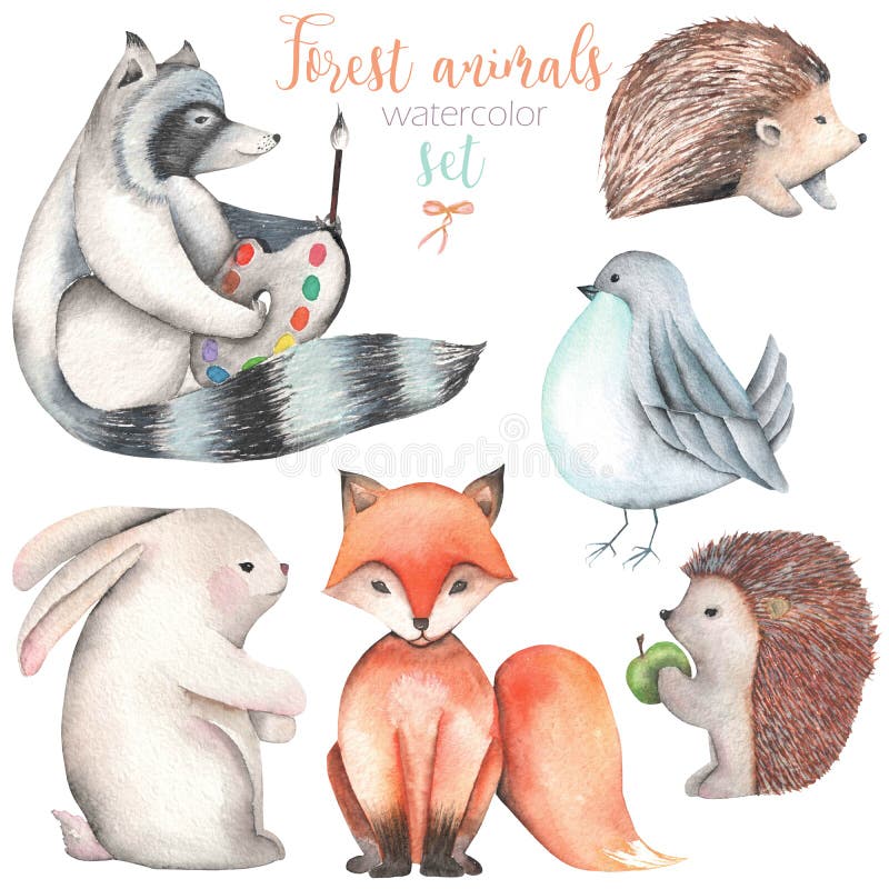 Inzameling, reeks illustraties van waterverf leuke bosdieren stock illustratie Inzameling, reeks illustraties van waterverf leuke bosdieren stock illustratie