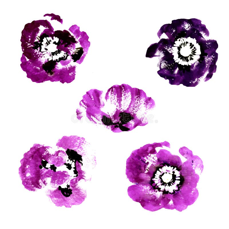 Set of purple watercolor poppy flowers. Set of purple watercolor poppy flowers