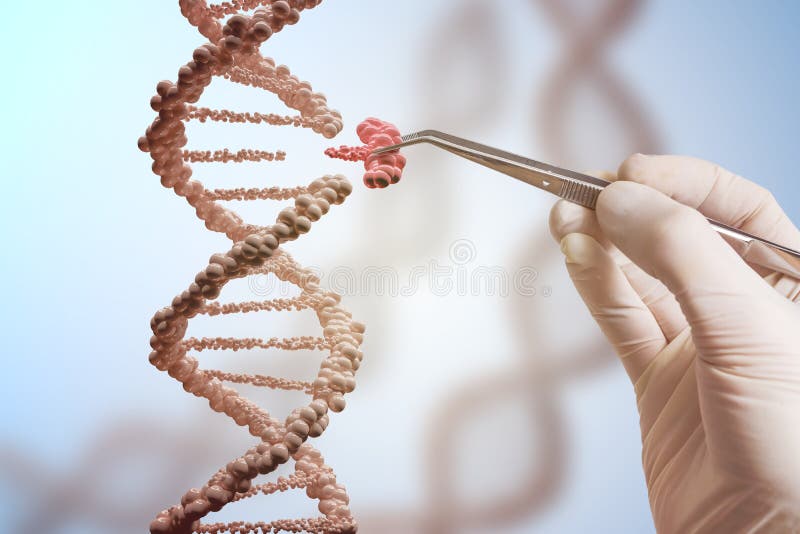 Inżynierii genetycznej i gen manipulaci pojęcie Ręka zamienia część DNA molekuła fotografia royalty free
