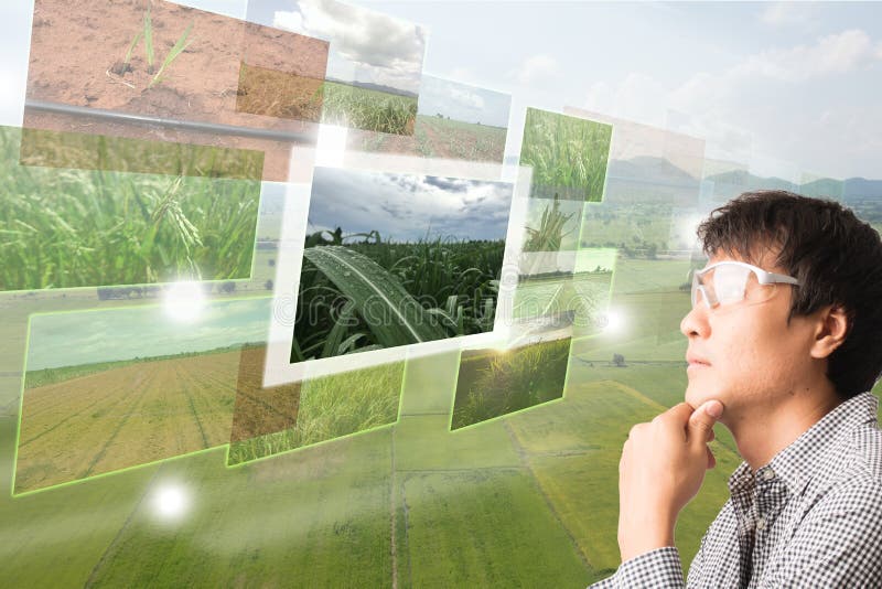 Iot, thingsagriculture概念,聪明种田, indust互联网 图库摄影 Iot, thingsagriculture概念,聪明种田, indust互联网 图库摄影
