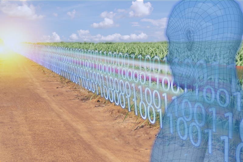 Iot Smart Industry 40 transformare digitală cu inteligență artificială sau inteligență artificială în agricultură stock photo