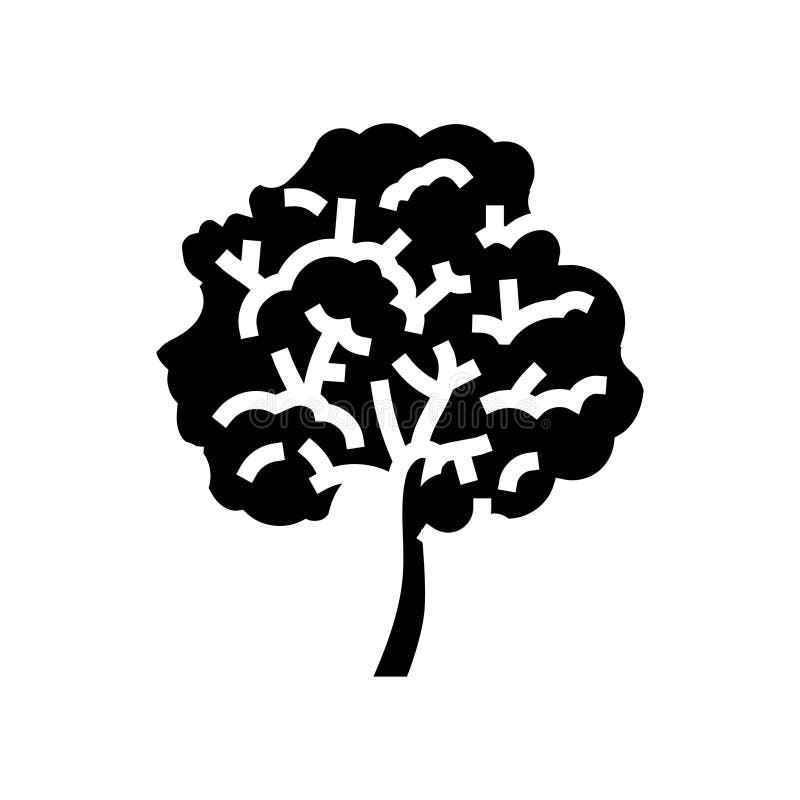 Ipe Trees Stock Illustrations 58 Ipe Trees Stock Illustrations