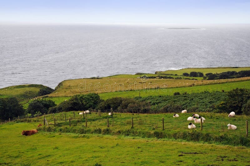 Ireland, the green island stock photo. Image of landscape 27217794