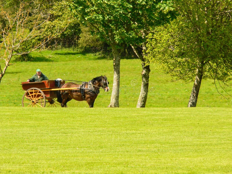 Jaunting Car Stock Photos Download 17 Royalty Free Photos