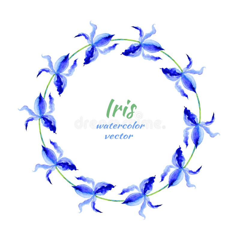 Iris Aquarellvektor-Malereiillustration der Blume Hand gezeichnete, runden mit Blumenrahmen, blauer dekorativer Kräuterkranz für vektor abbildung Iris Aquarellvektor-Malereiillustration der Blume Hand gezeichnete, runden mit Blumenrahmen, blauer dekorativer Kräuterkranz für vektor abbildung