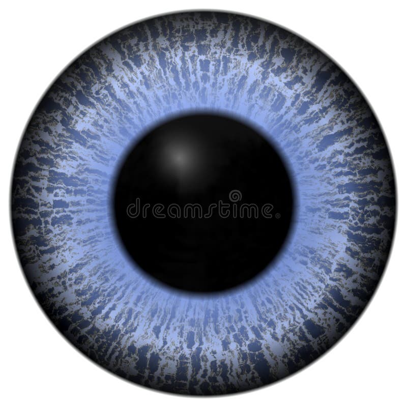 My Image 26