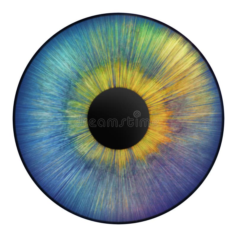 634 Eye Iris Texture Stock Photos Free & RoyaltyFree Stock Photos
