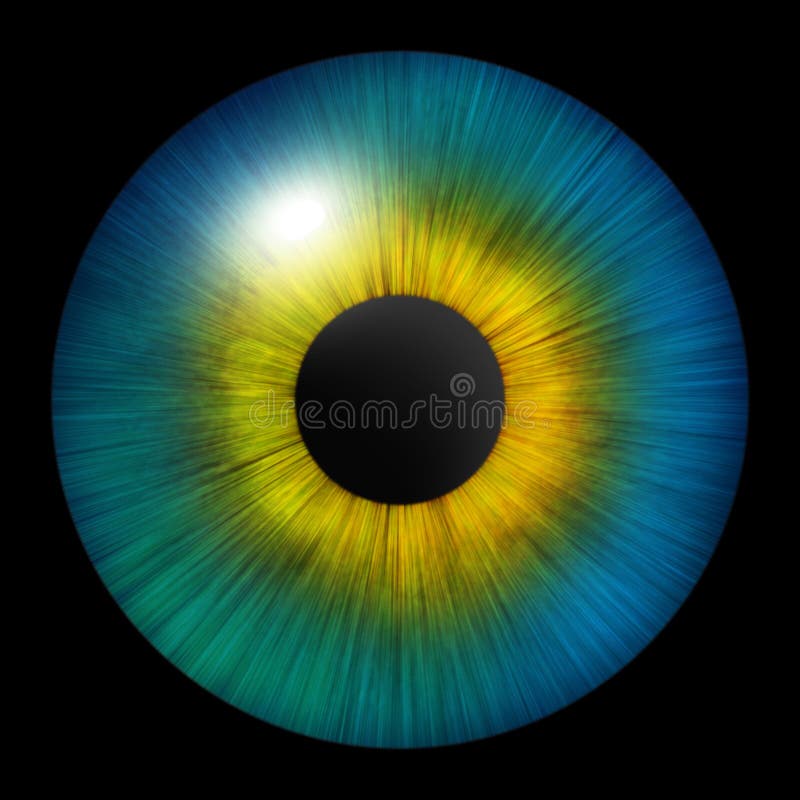 Iris of the Eye. Iris of the Human. Eye Illustration. Multicolored Eye