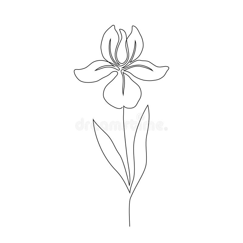 200 Iris Flower Tattoo Illustrations RoyaltyFree Vector Graphics  Clip  Art  iStock