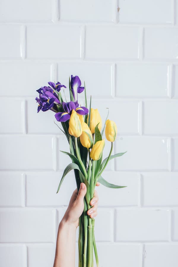 Iris and tulips flowers bouquet of purple and yellow colors royalty free stock photos Iris and tulips flowers bouquet of purple and yellow colors royalty free stock photos