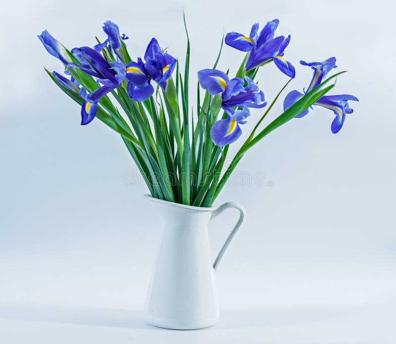 Irises in a Vase stock photo. Image of blue, decoration 29401064