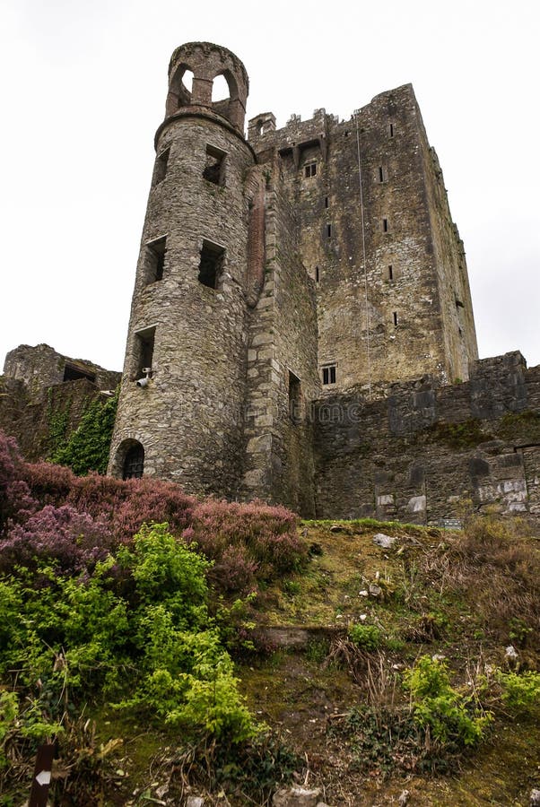 Irish castle of Blarney , famous for the stone of eloquence. Ire