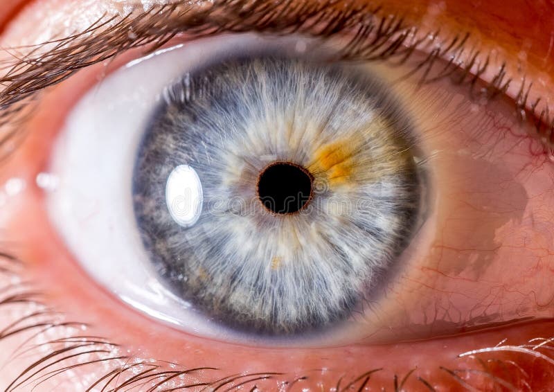 Irisphotographie Naher Makroschuß eines Augapfels Blau mit Fasern und orange Streifen stockfoto Irisphotographie Naher Makroschuß eines Augapfels Blau mit Fasern und orange Streifen stockfoto