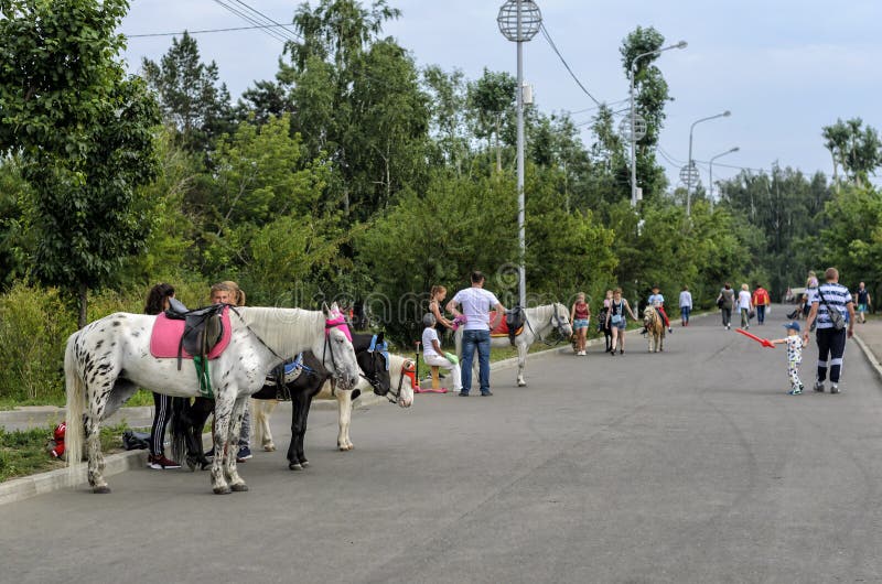 IRKOUTSK, RUSSIE - 15 JUILLET 2019 : Les gens marchent sur la rue près des chevaux images libres de droits IRKOUTSK, RUSSIE - 15 JUILLET 2019 : Les gens marchent sur la rue près des chevaux images libres de droits