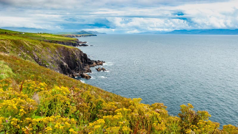 Irlandzka linia brzegowa na północnego atlantyku oceanie obrazy stock