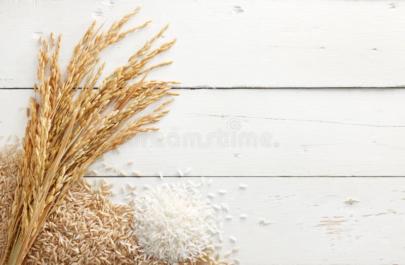 Irländare och rice arkivbild