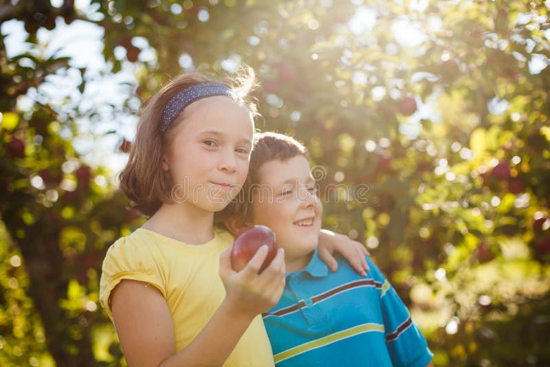 Brother and sister laughing and eating apples in an orchard. Brother and sister laughing and eating apples in an orchard