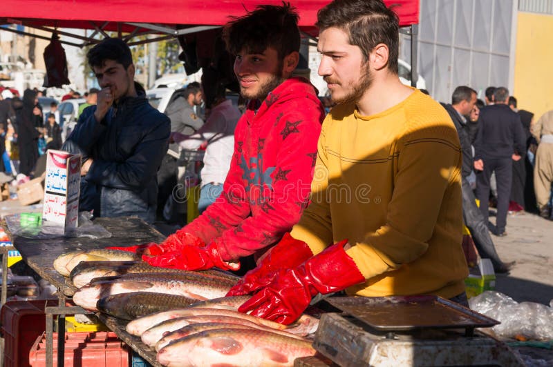 Irmãos vendedores de peixe no Iraque fotografia de stock royalty free