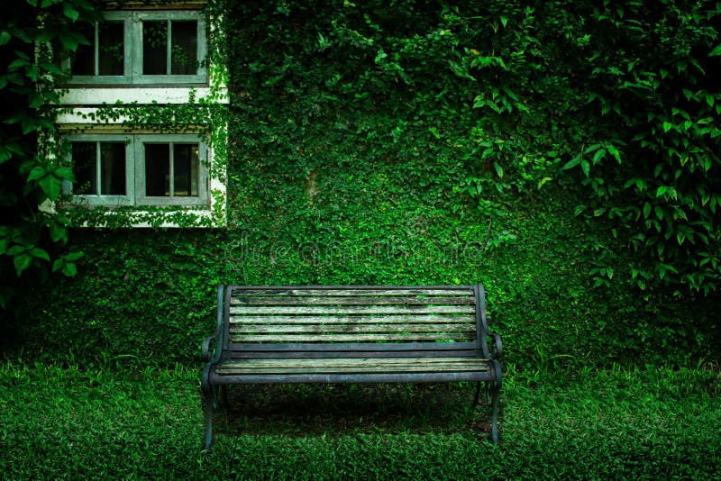 Iron Bench with the Bush Background in Garden, Wooden Chair Stock Photo -  Image of park, bench: 133384006
