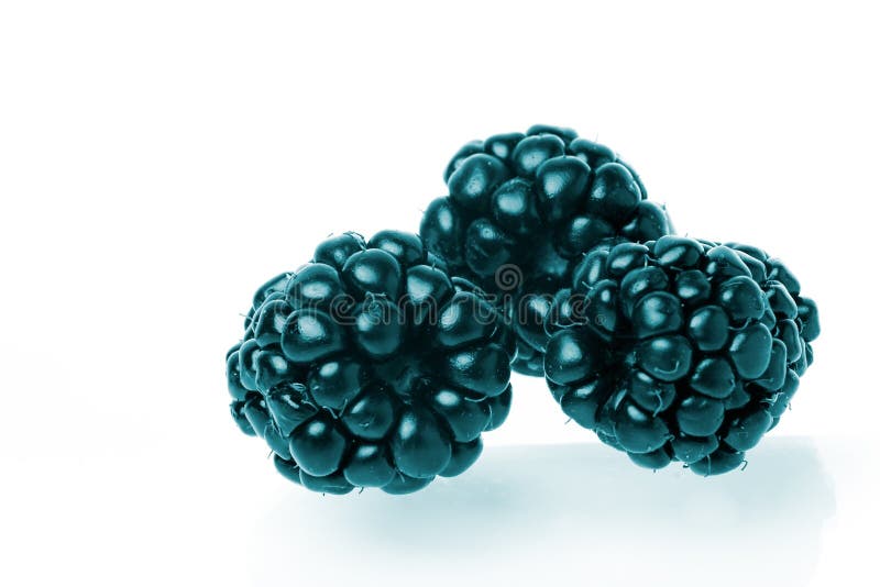 Handful of raspberries stock image. Image of bacca, summer 1221439