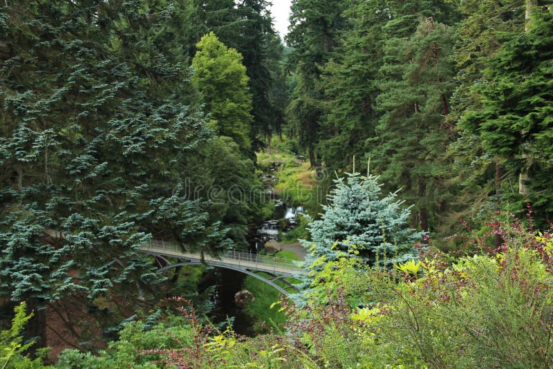 The Iron Bridge At Cragside, Northumberland.