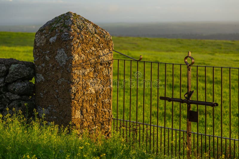 Iron gate in a farm stock image. Image of gate, outdoor 273690919