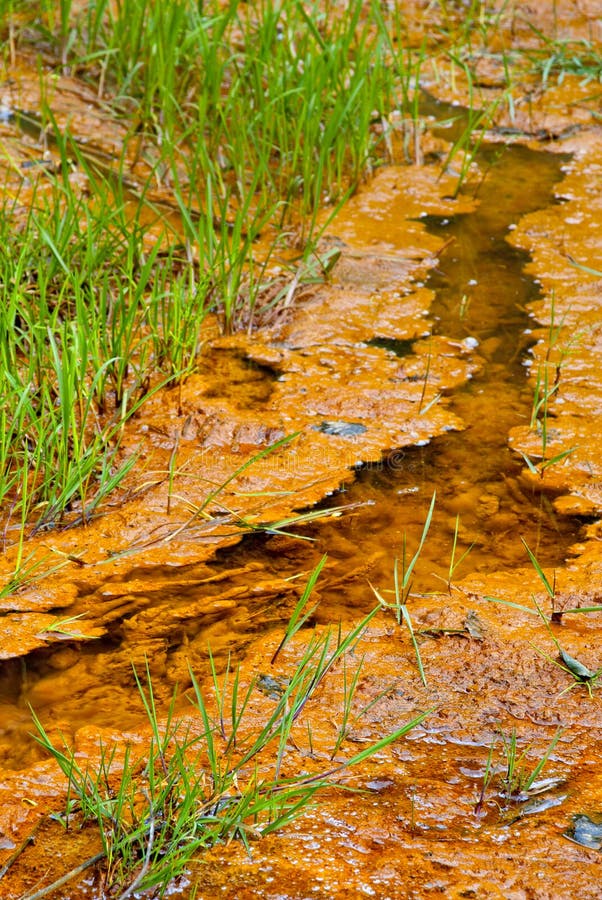 Iron saturated creek in a mining area